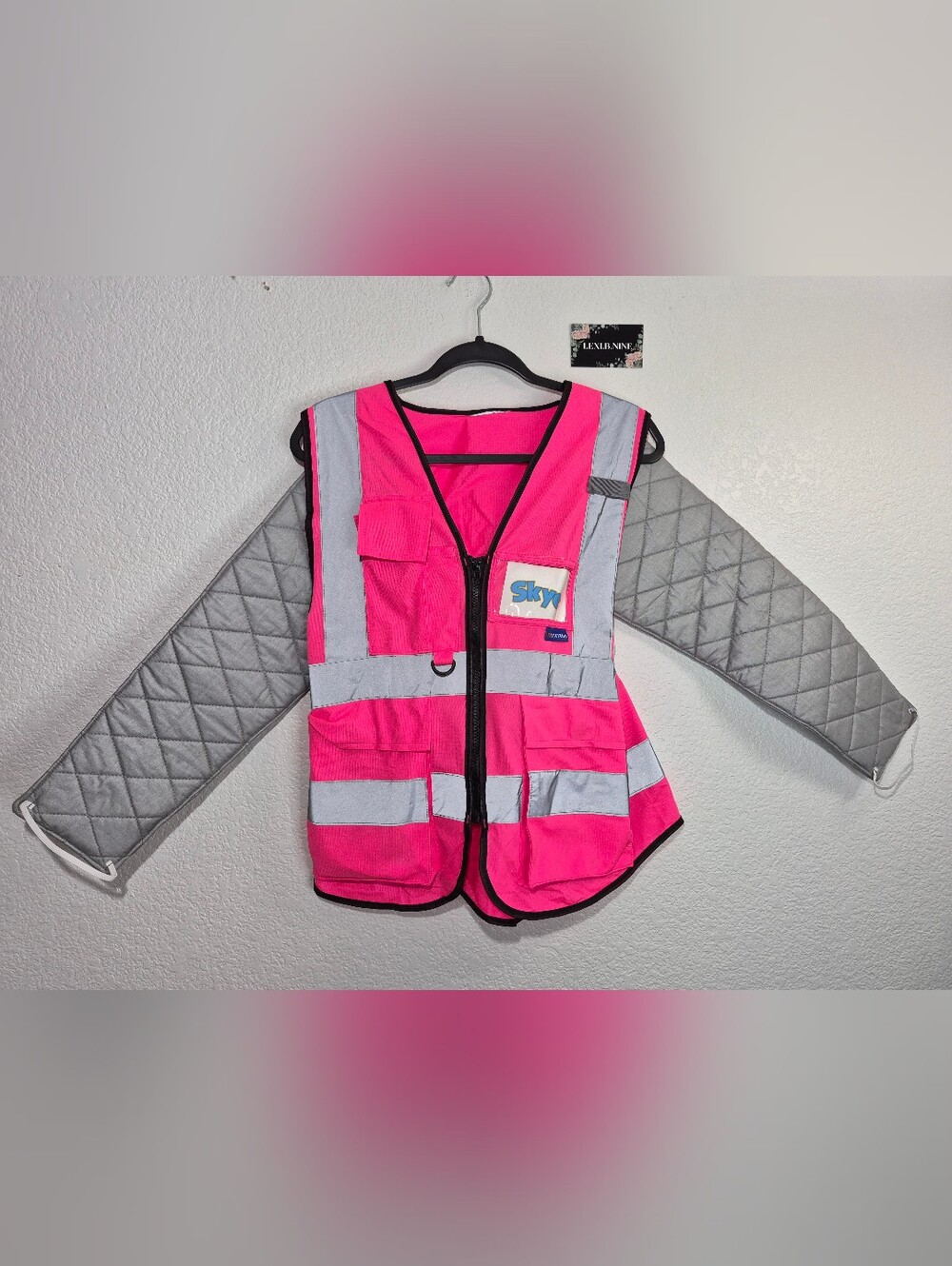 Paw Patrol SKYE Womens Halloween Costume For Sale